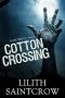 [Roadtrip Z 01] • Cotton Crossing